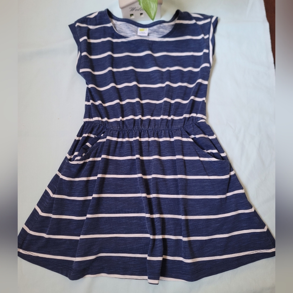 Blue and White Striped Dress
